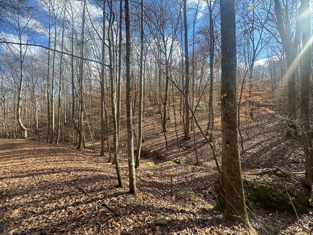 Lot 2750 Nimrod Court, Ellijay GA 30540 - Photo