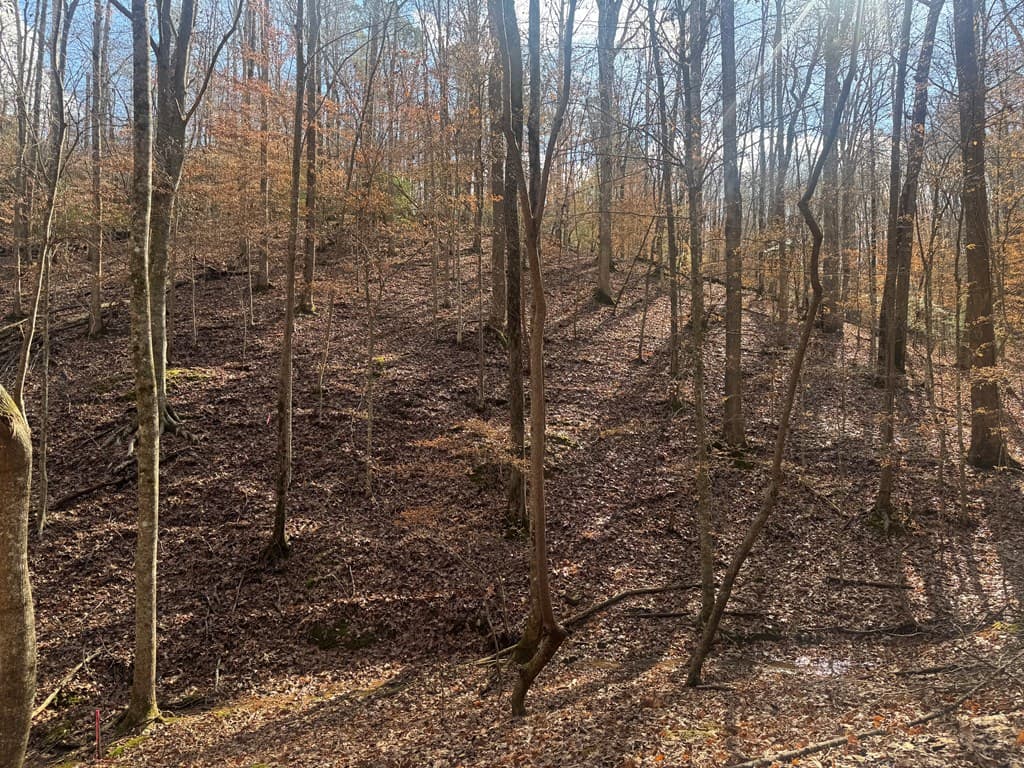 Lot 2750 Nimrod Court, Ellijay GA 30540 - Photo