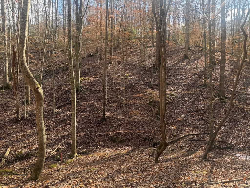 Lot 2750 Nimrod Court, Ellijay GA 30540 - Photo