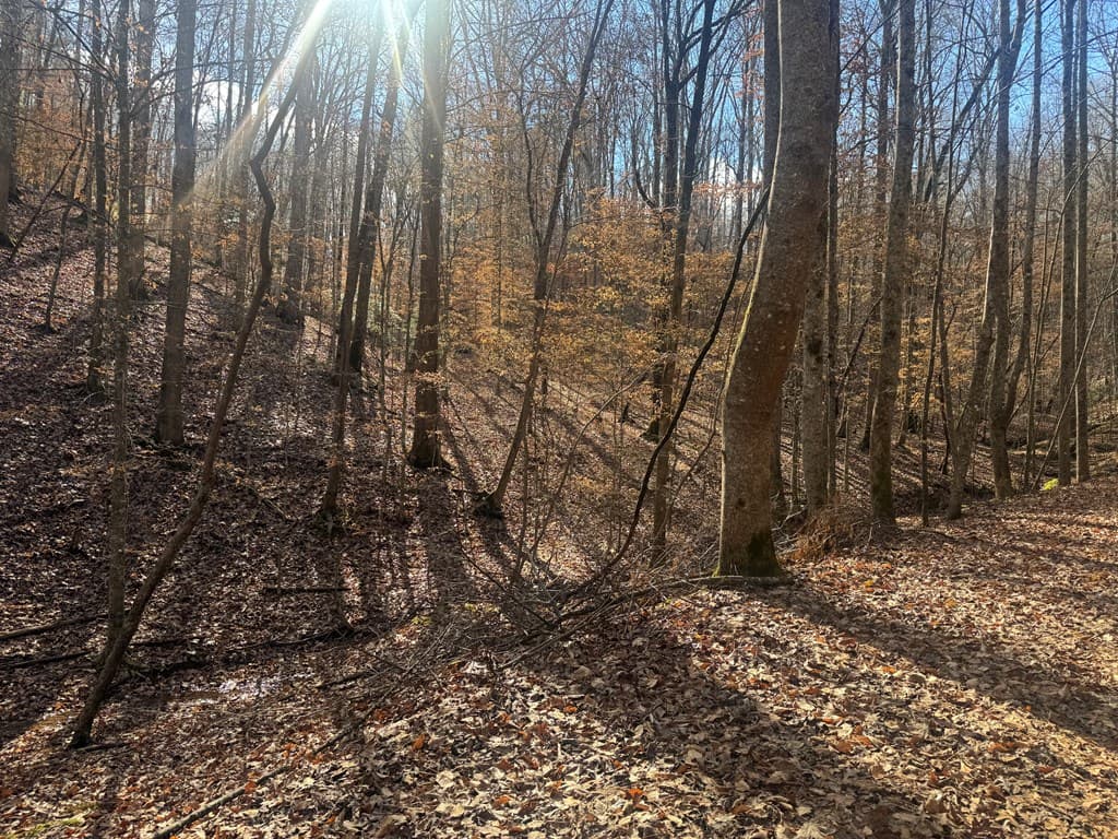 Lot 2750 Nimrod Court, Ellijay GA 30540 - Photo
