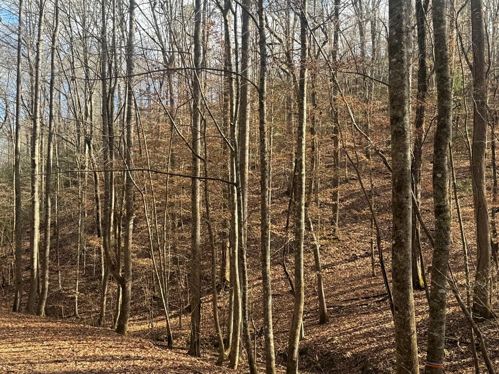 Lot 2750 Nimrod Court, Ellijay GA 30540 - Photo