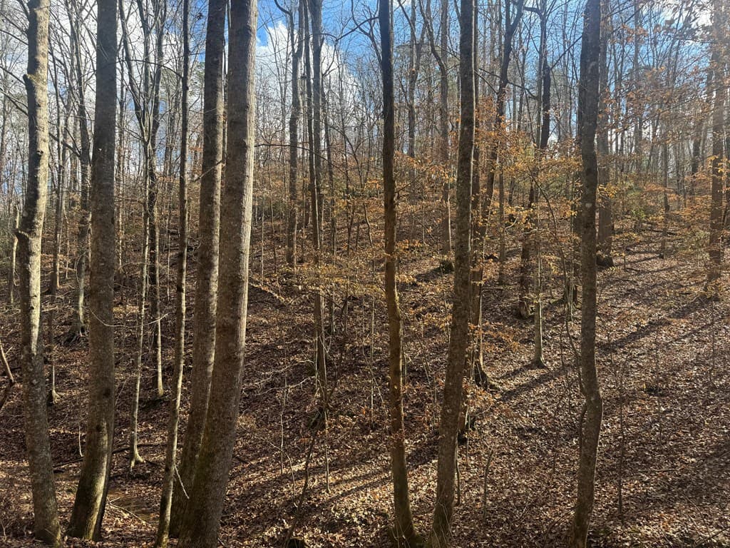 Lot 2750 Nimrod Court, Ellijay GA 30540 - Photo
