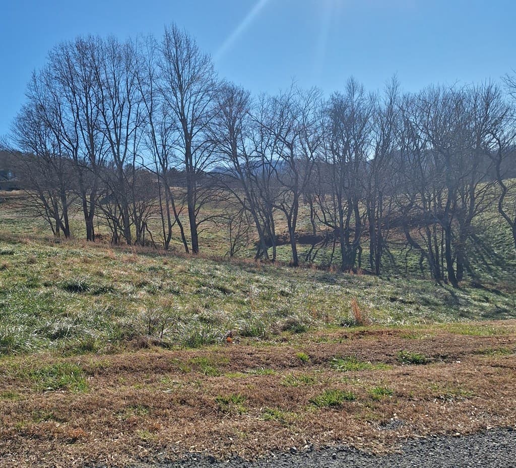 0 Big Valley Drive, Morganton GA 30560 - Photo