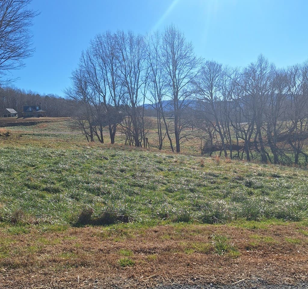 0 Big Valley Drive, Morganton GA 30560 - Photo