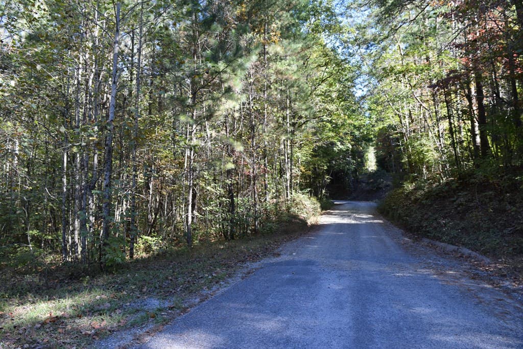 32.98 Ac Zion Hill Road, Ellijay GA 30540 - Photo