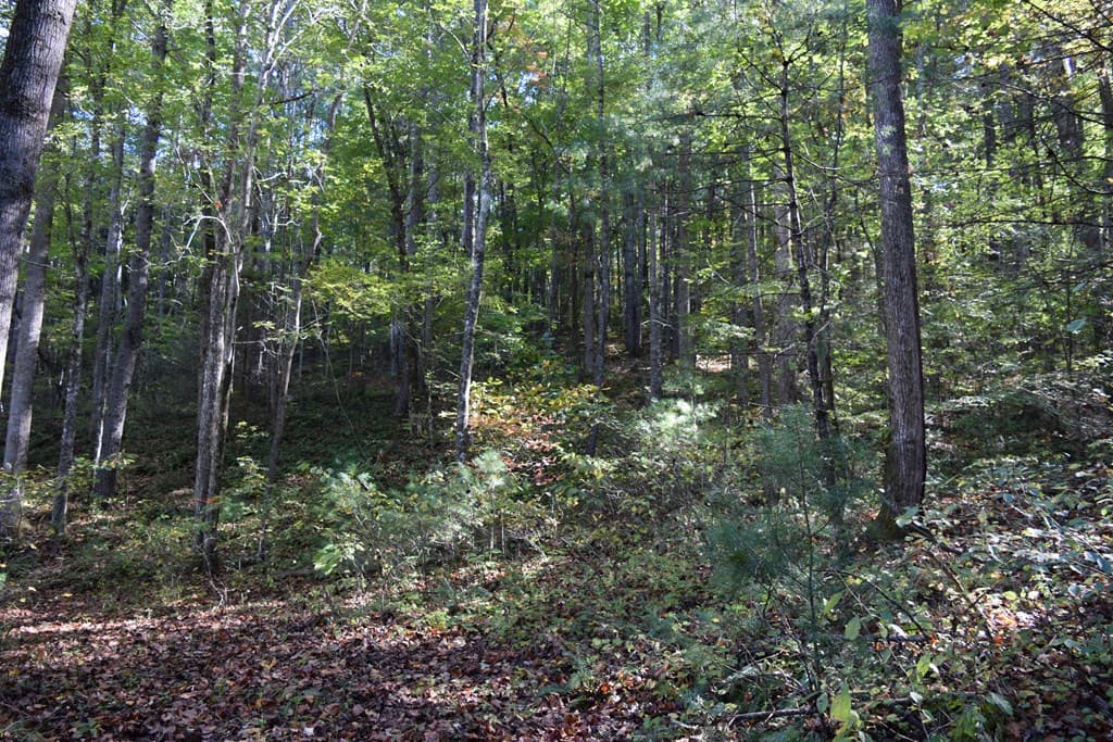 32.98 Ac Zion Hill Road, Ellijay GA 30540 - Photo