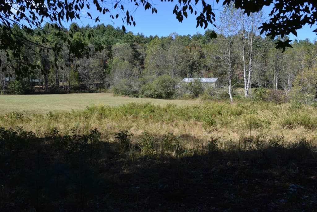 32.98 Ac Zion Hill Road, Ellijay GA 30540 - Photo