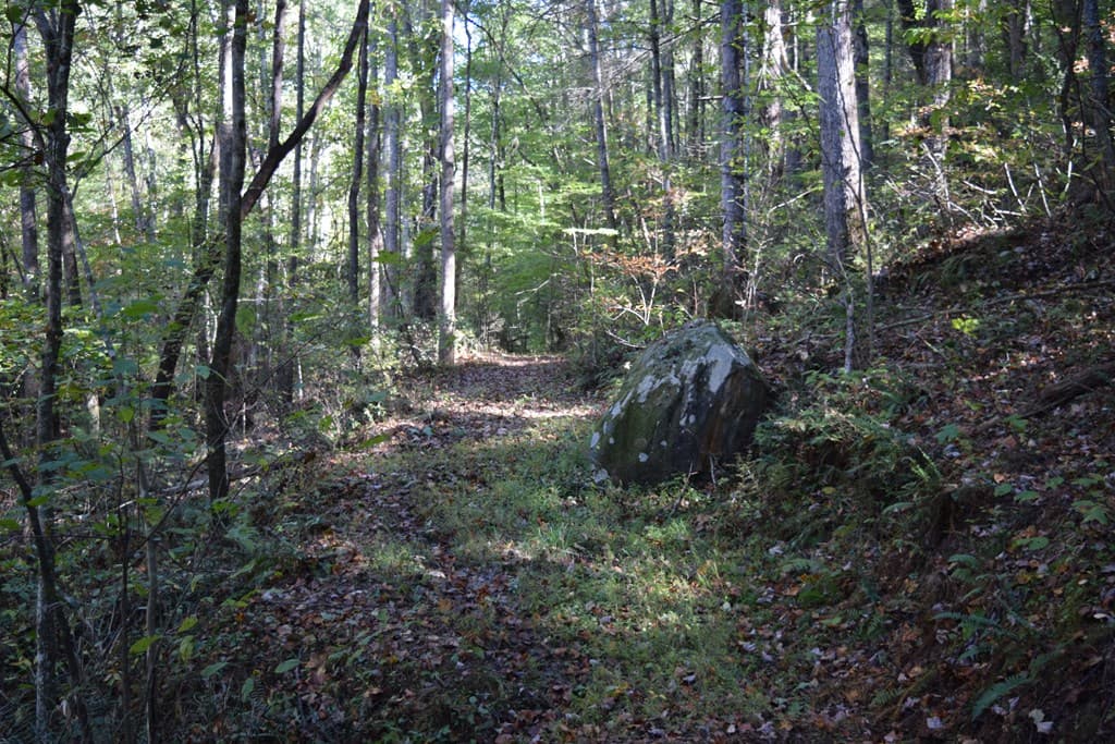 32.98 Ac Zion Hill Road, Ellijay GA 30540 - Photo