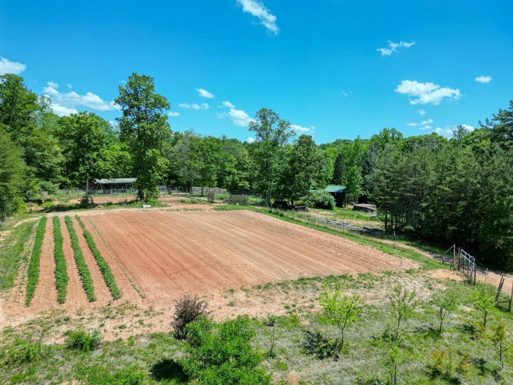 357 Nottely Woods Road E, Blairsville GA 30512 - Photo