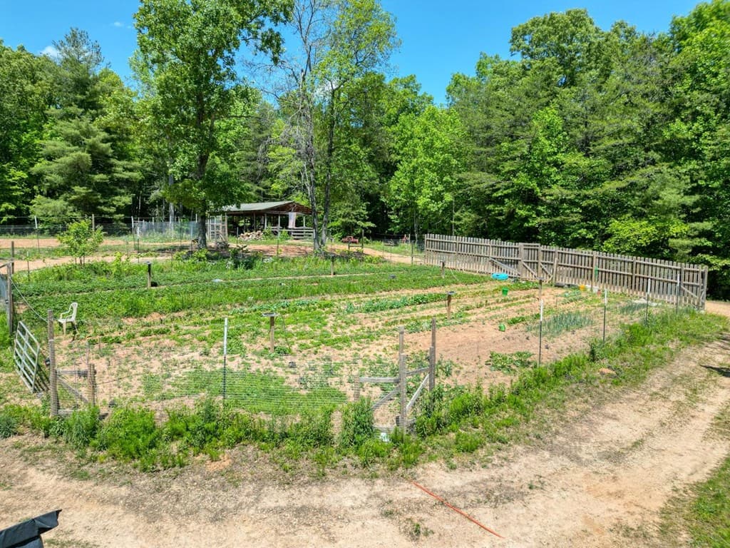 357 Nottely Woods Road E, Blairsville GA 30512 - Photo