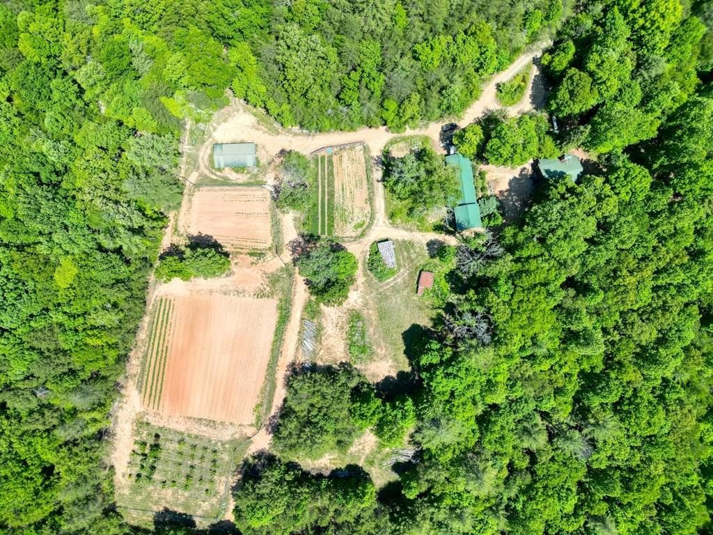 357 Nottely Woods Road E, Blairsville GA 30512 - Primary photo