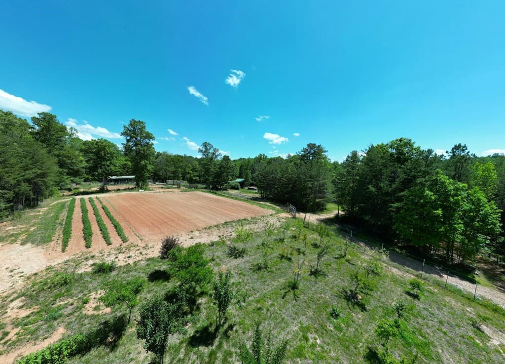 357 Nottely Woods Road E, Blairsville GA 30512 - Photo