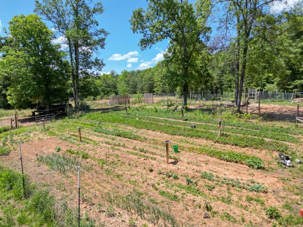 357 Nottely Woods Road E, Blairsville GA 30512 - Photo
