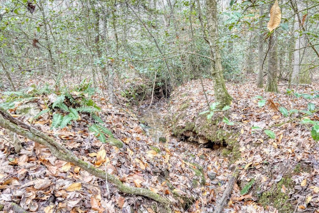 357 Nottely Woods Road E, Blairsville GA 30512 - Photo