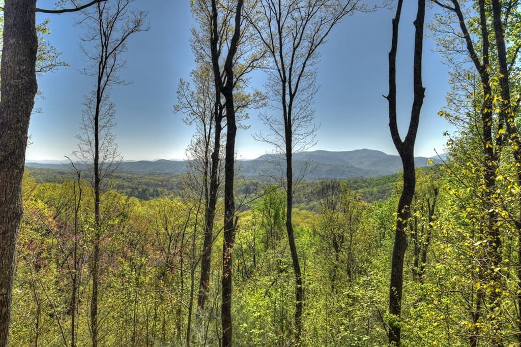 783 Moreland Drive N, Cherry Log GA 30522 - Photo