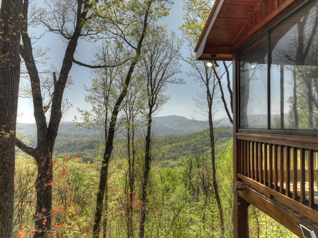 783 Moreland Drive N, Cherry Log GA 30522 - Photo