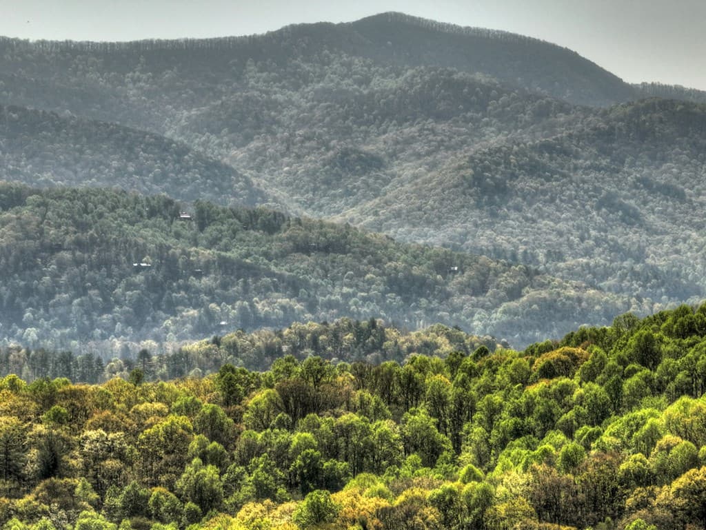783 Moreland Drive N, Cherry Log GA 30522 - Photo