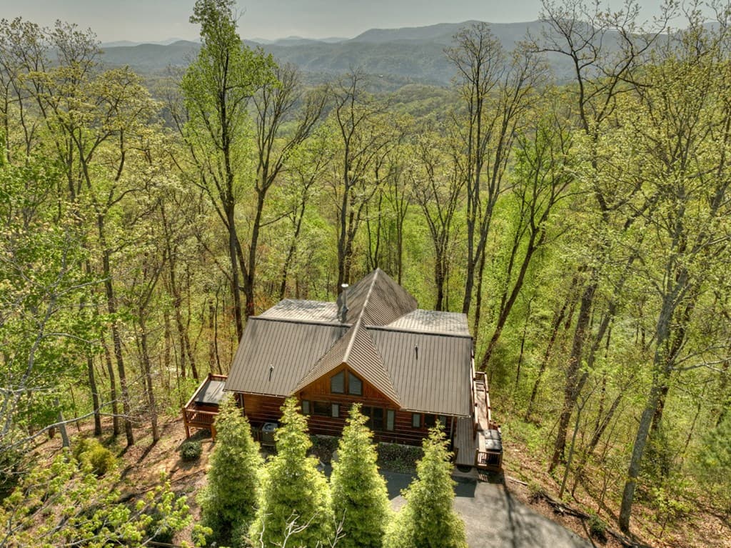 783 Moreland Drive N, Cherry Log GA 30522 - Photo