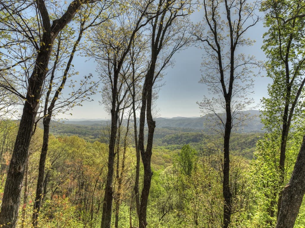 783 Moreland Drive N, Cherry Log GA 30522 - Photo