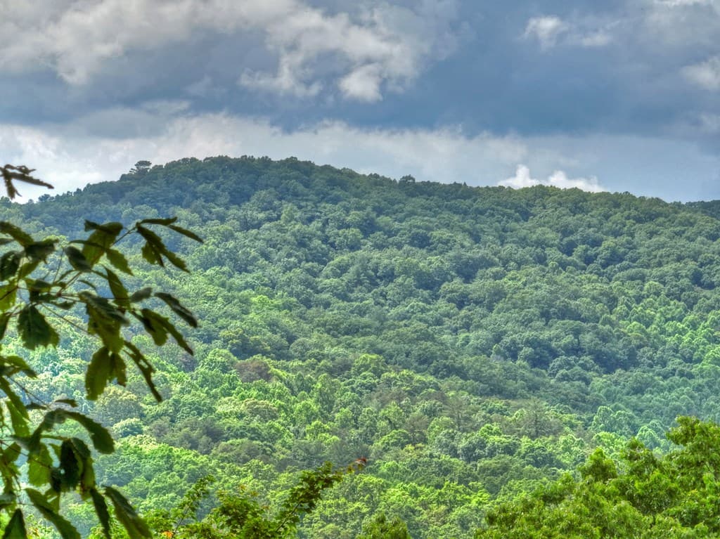 Lot 22 Mountain Trace, Cherry Log GA 30522 - Photo