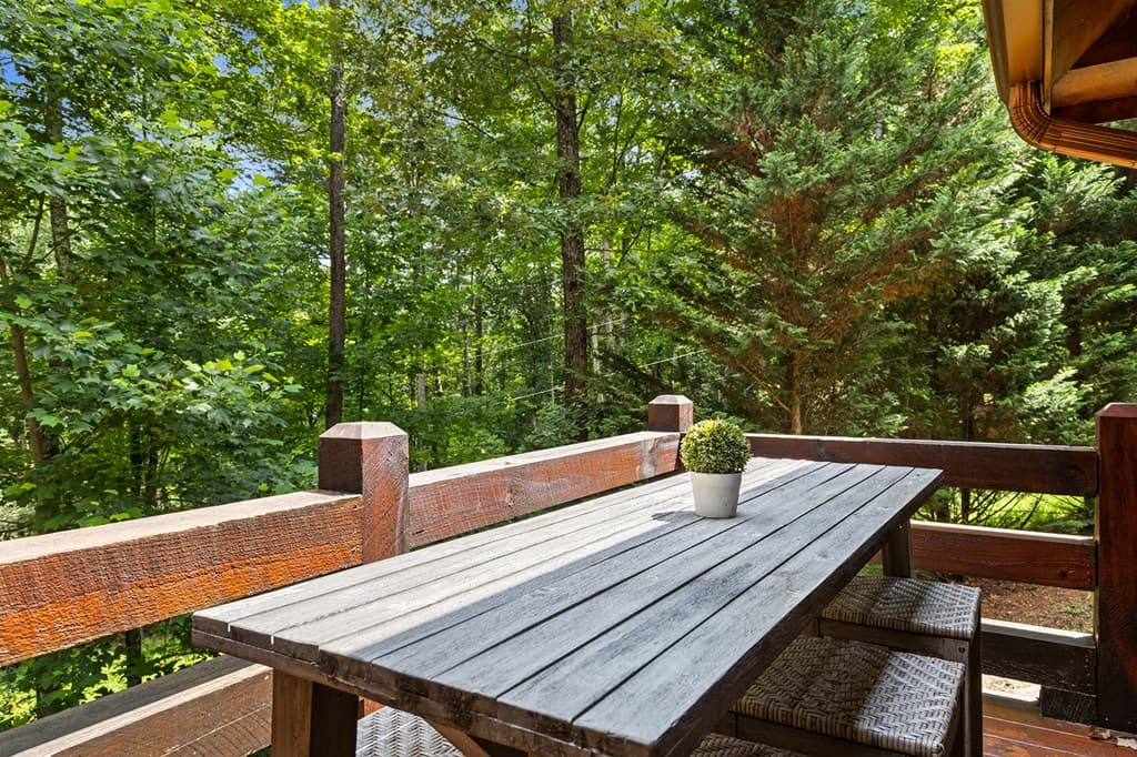 930 Power Dam Road, Blue Ridge GA 30513 - Photo