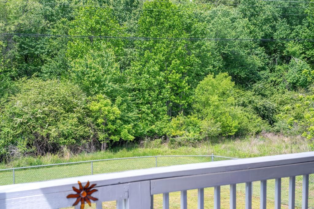 18 Shady Grove Lane, Blue Ridge GA 30513 - Photo