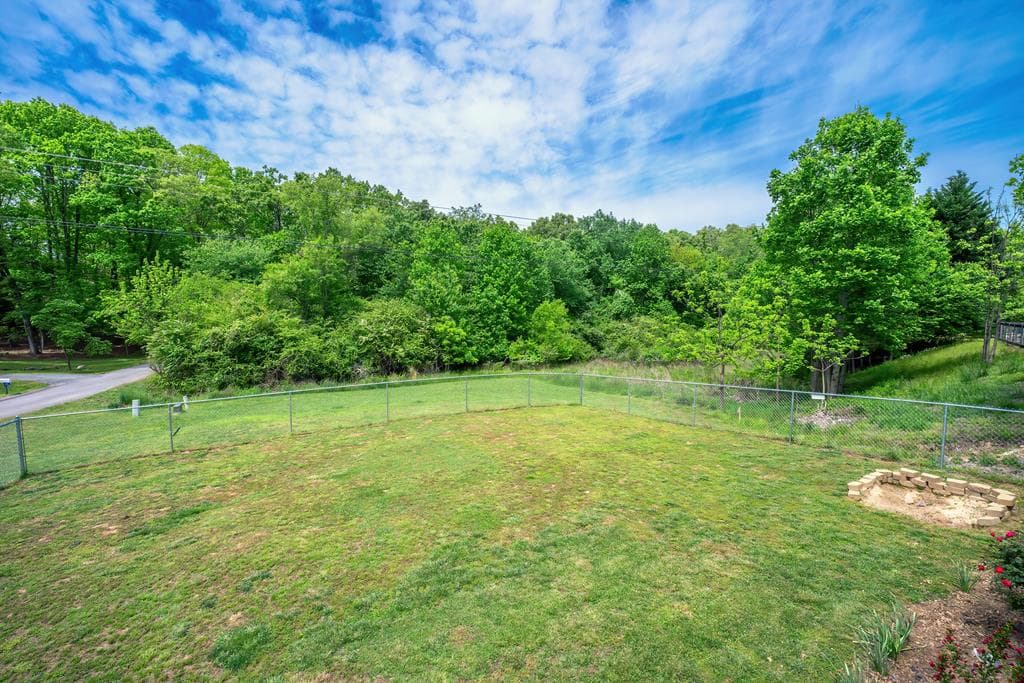 18 Shady Grove Lane, Blue Ridge GA 30513 - Photo