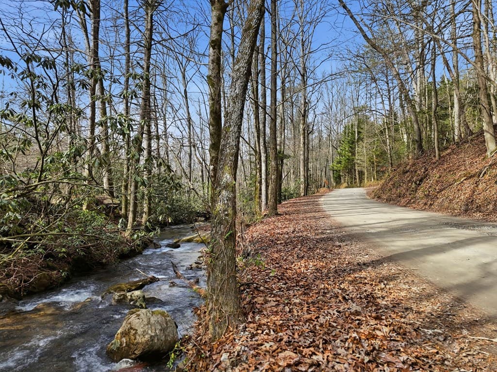 861 Little Rock Creek, Cherry Log GA 30522 - Photo