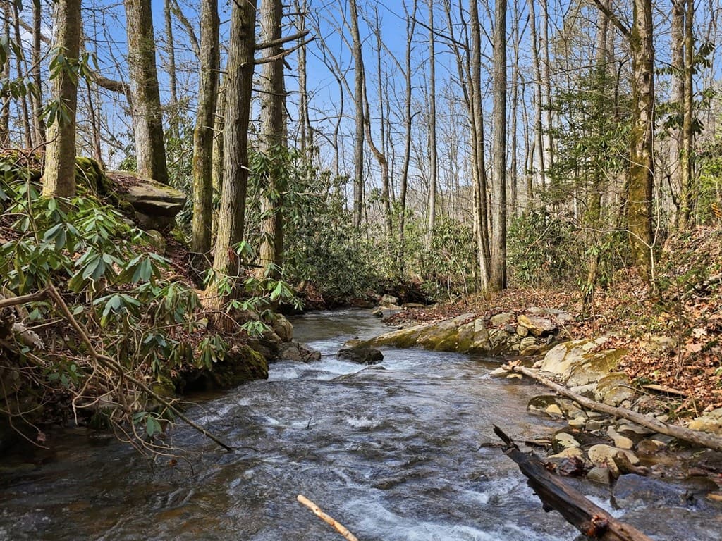 861 Little Rock Creek, Cherry Log GA 30522 - Photo