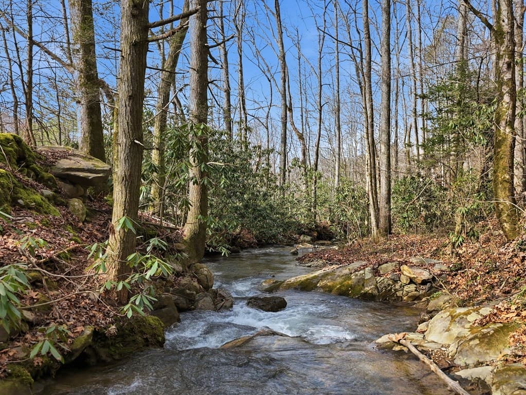 861 Little Rock Creek, Cherry Log GA 30522 - Photo