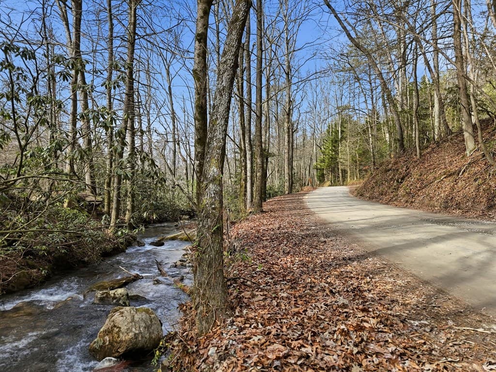861 Little Rock Creek, Cherry Log GA 30522 - Photo