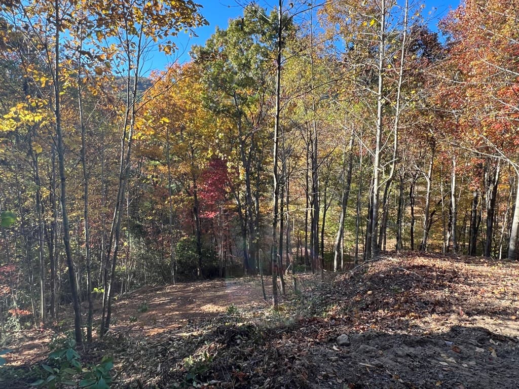 1 Bartin Ridge, Murphy NC 28906 - Photo