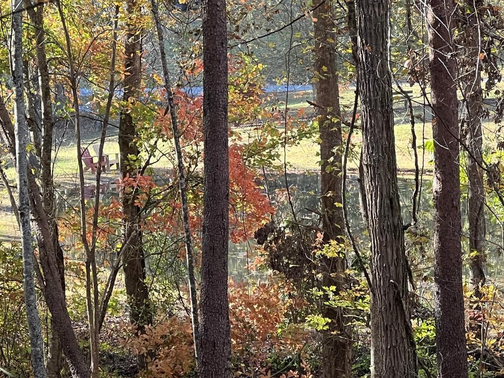 1 Bartin Ridge, Murphy NC 28906 - Photo