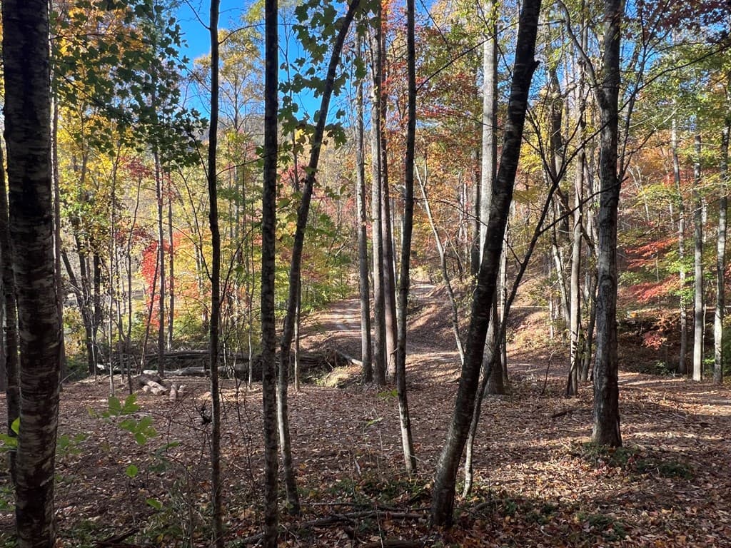 1 Bartin Ridge, Murphy NC 28906 - Photo