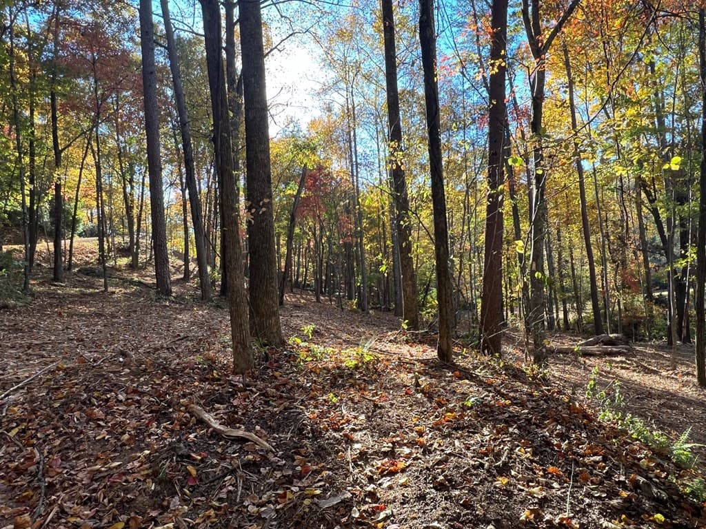 1 Bartin Ridge, Murphy NC 28906 - Photo