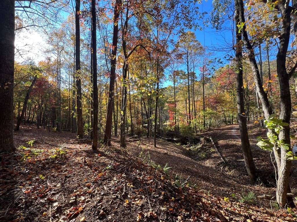 1 Bartin Ridge, Murphy NC 28906 - Photo