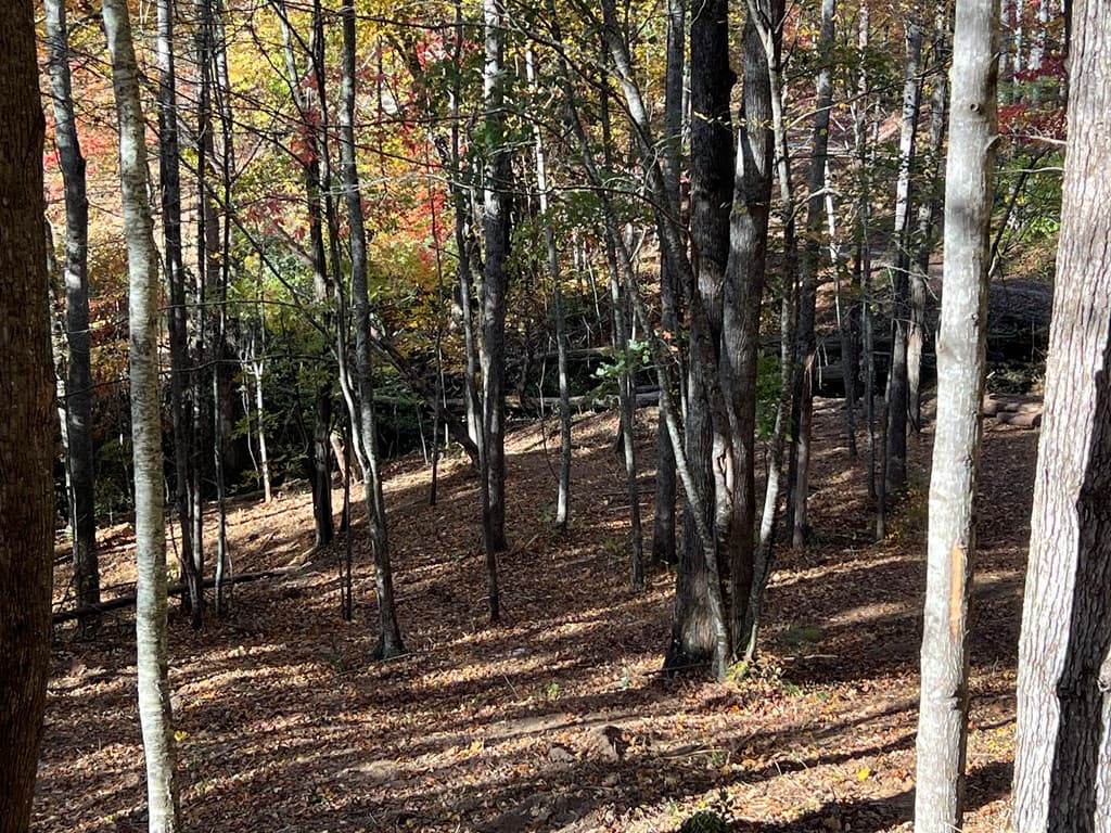 1 Bartin Ridge, Murphy NC 28906 - Photo