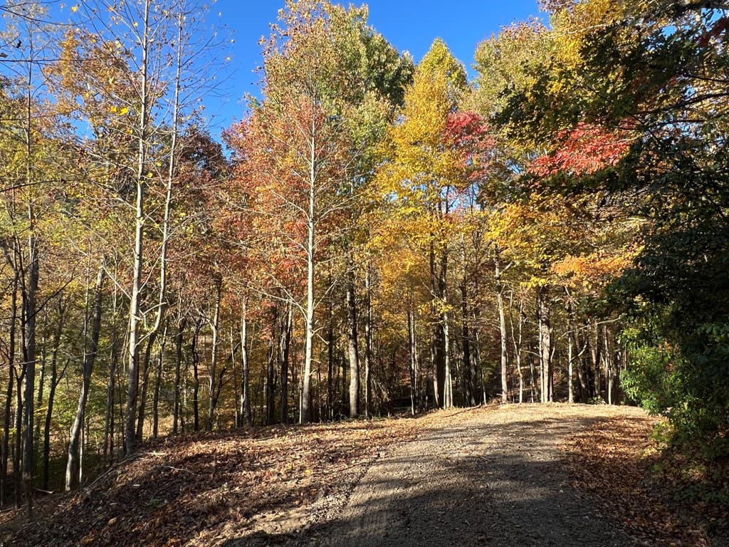 1 Bartin Ridge, Murphy NC 28906 - Photo