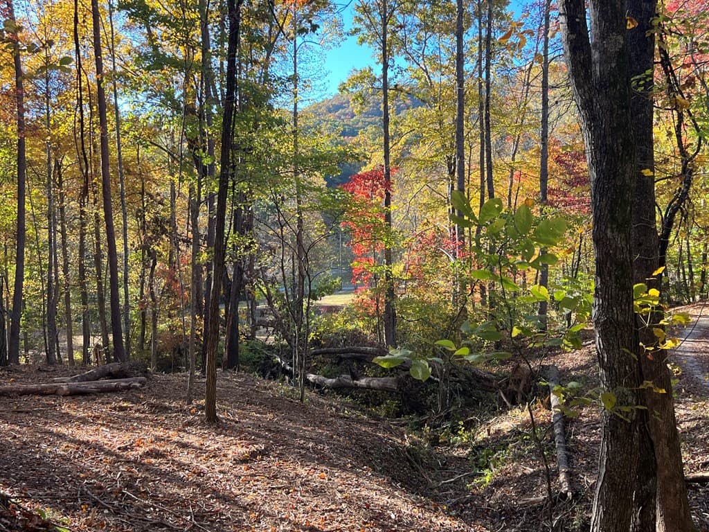 1 Bartin Ridge, Murphy NC 28906 - Photo