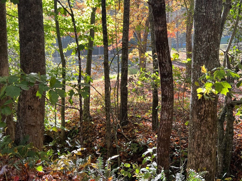1 Bartin Ridge, Murphy NC 28906 - Photo