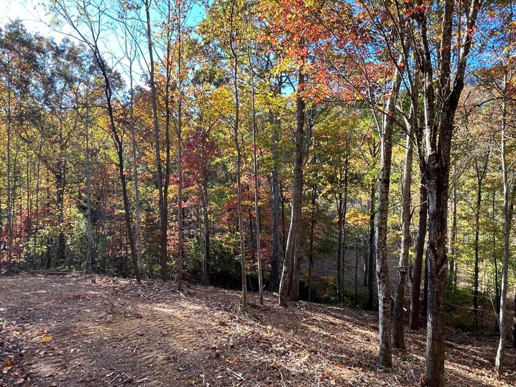 1 Bartin Ridge, Murphy NC 28906 - Photo