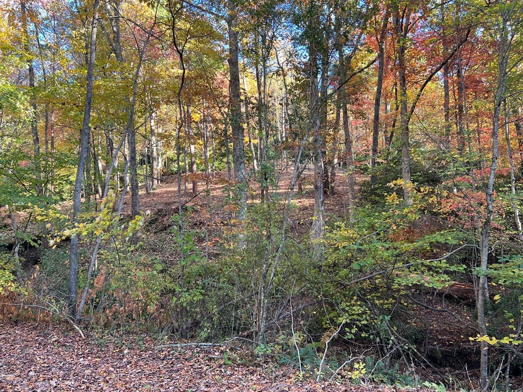 1 Bartin Ridge, Murphy NC 28906 - Photo