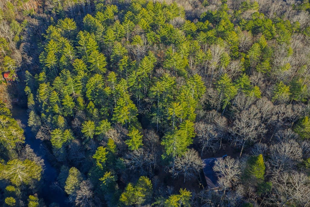 Lot 56 Riverbend Trail, Ellijay GA 30540 - Photo