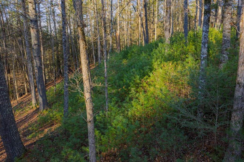 Lot 56 Riverbend Trail, Ellijay GA 30540 - Photo