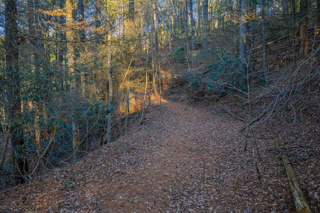Lot 56 Riverbend Trail, Ellijay GA 30540 - Photo