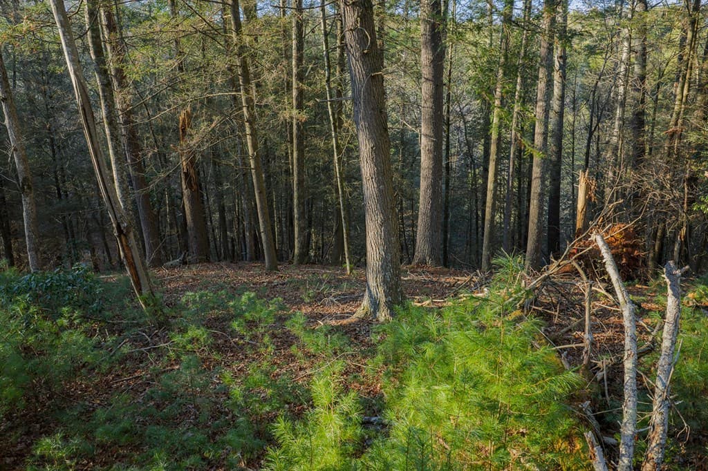 Lot 56 Riverbend Trail, Ellijay GA 30540 - Photo