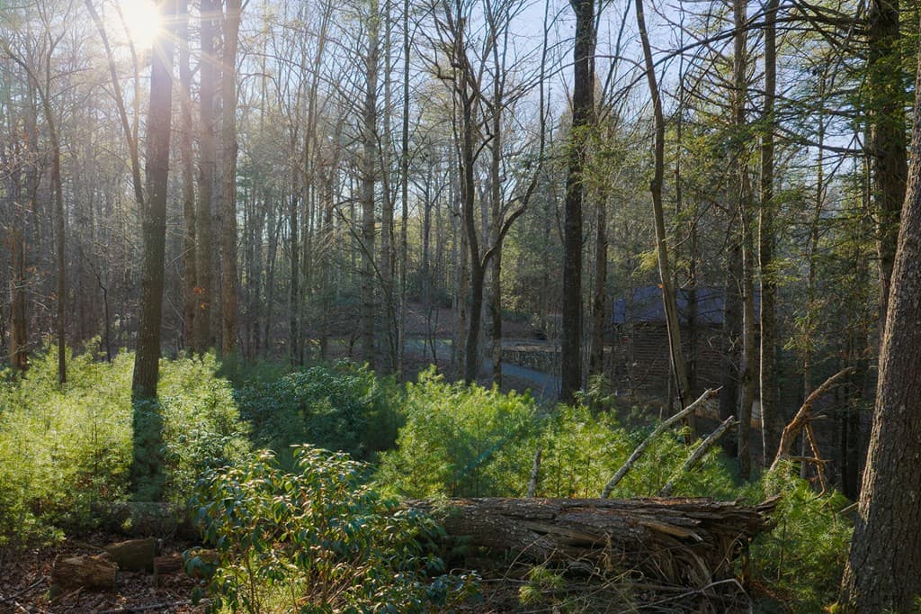 Lot 56 Riverbend Trail, Ellijay GA 30540 - Photo