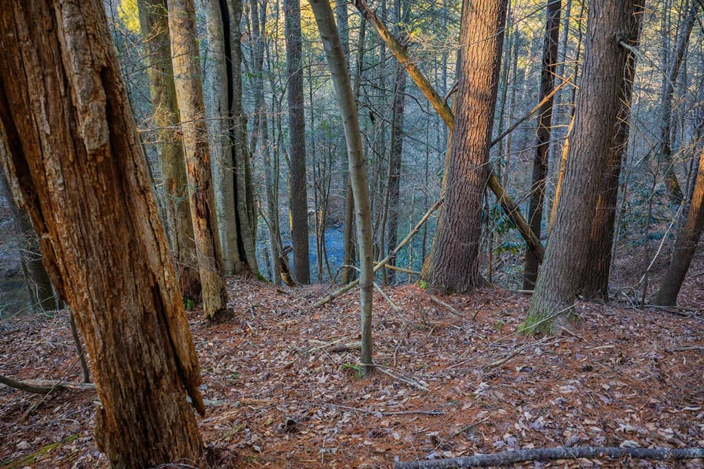 Lot 56 Riverbend Trail, Ellijay GA 30540 - Photo