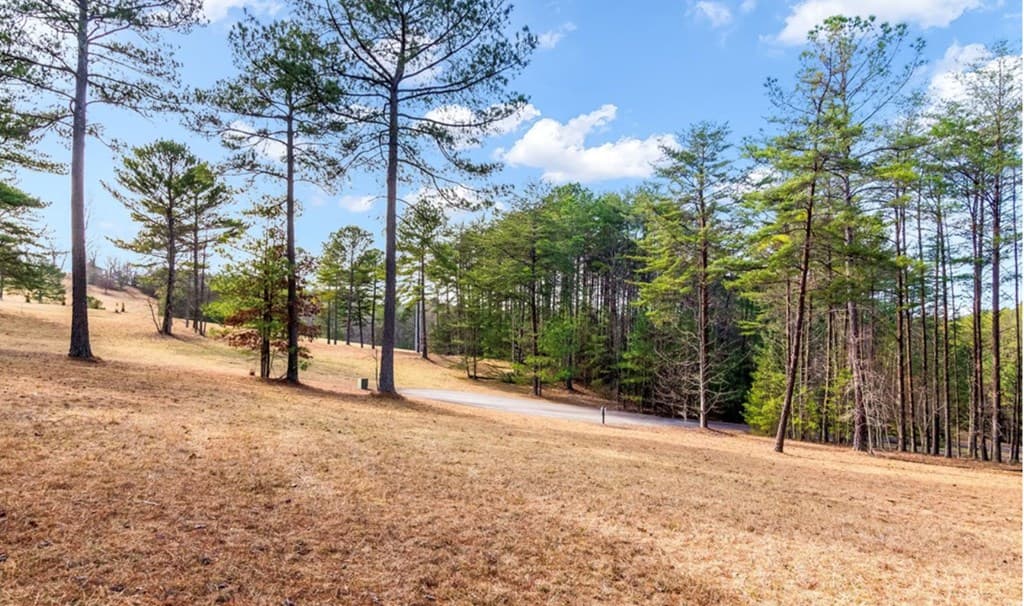 LOT 87 Creek Hollow Lane, Blairsville GA 30512 - Photo