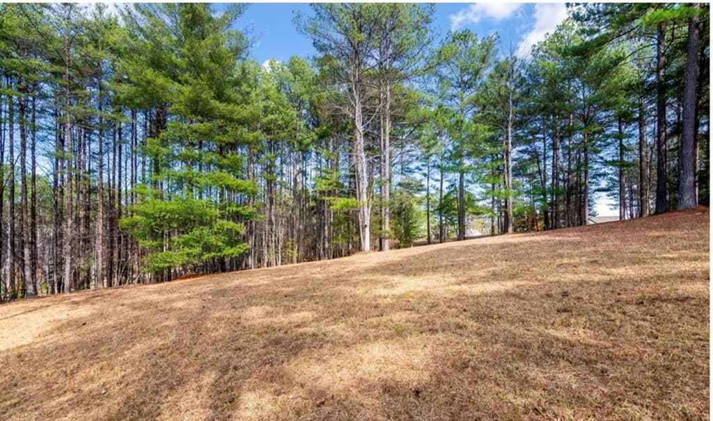 LOT 87 Creek Hollow Lane, Blairsville GA 30512 - Photo